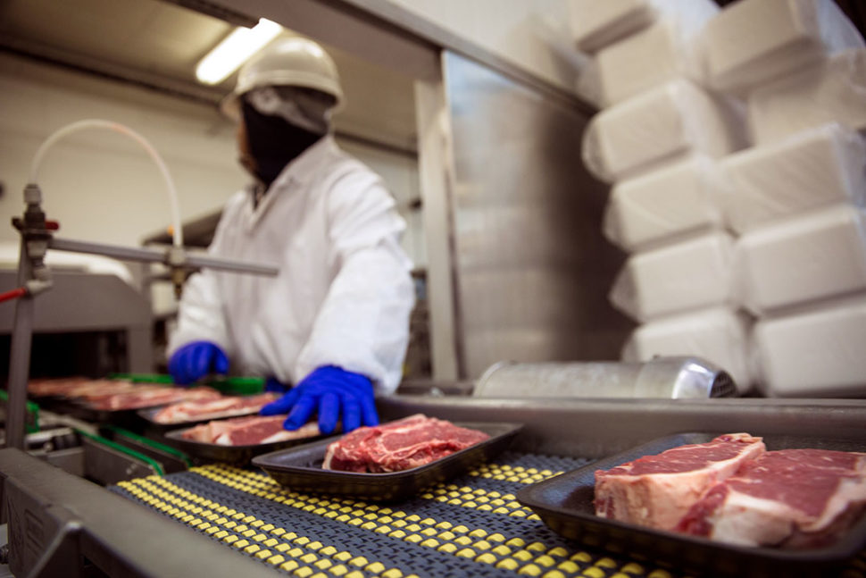 Meat food handling safety gloves and suit with mask SafetySkills