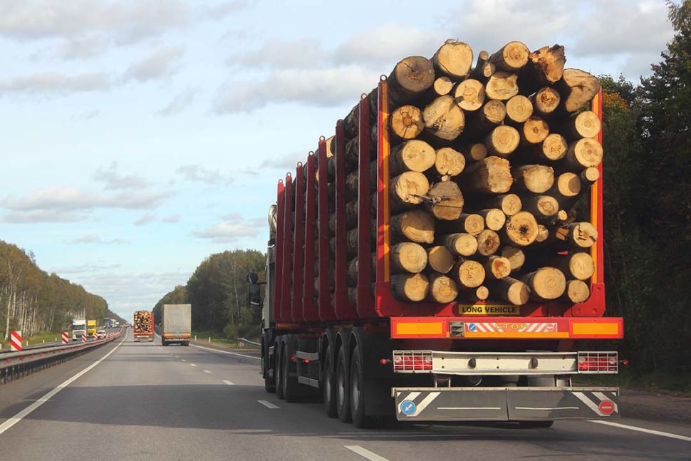 Guidelines for Securing Vehicle Loads and Cargo - SafetySkills