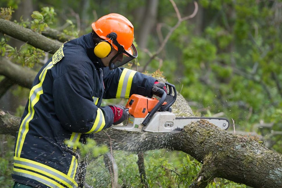 Proper Chainsaw Safety and Operation - SafetySkills Online Training