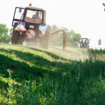 Municipal workers mowing the roadside