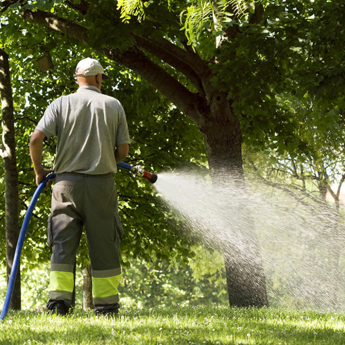 Municipality worker watering lawn
